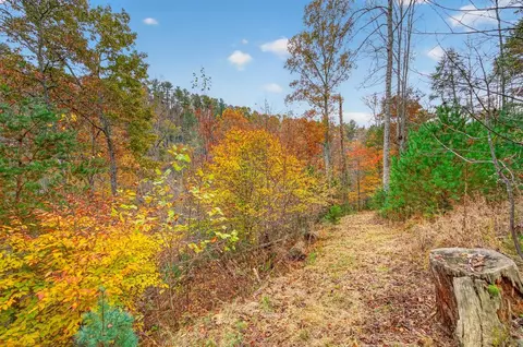 Other - 584 Buzzard Roost Ln, Max Meadows, VA 24360 photo 9 of 44