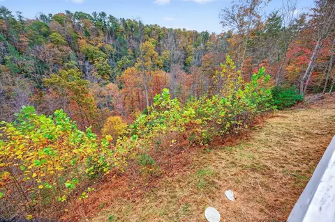 Other - 584 Buzzard Roost Ln, Max Meadows, VA 24360 photo 27 of 44