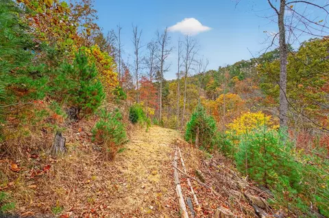 Other - 584 Buzzard Roost Ln, Max Meadows, VA 24360 photo 8 of 44