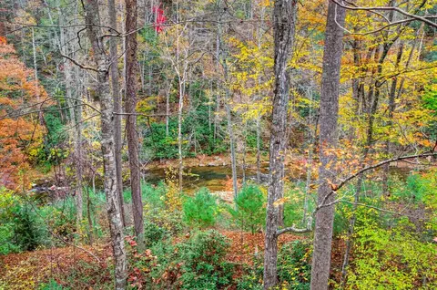 View/Area - 584 Buzzard Roost Ln, Max Meadows, VA 24360 photo 1 of 12