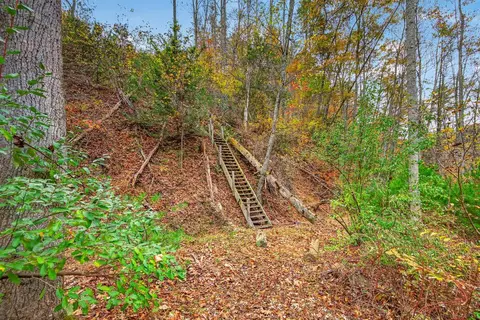 Other - 584 Buzzard Roost Ln, Max Meadows, VA 24360 photo 11 of 44
