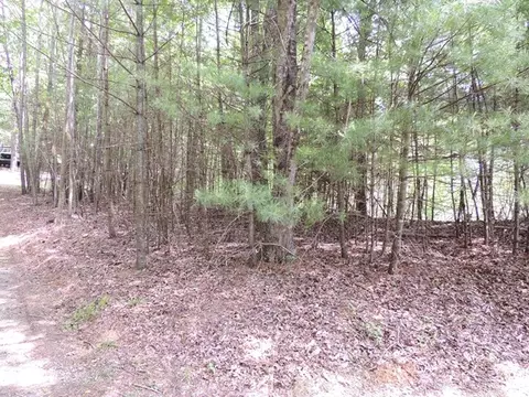 tbd Bent Hls, Independence, VA 24348 photo 9