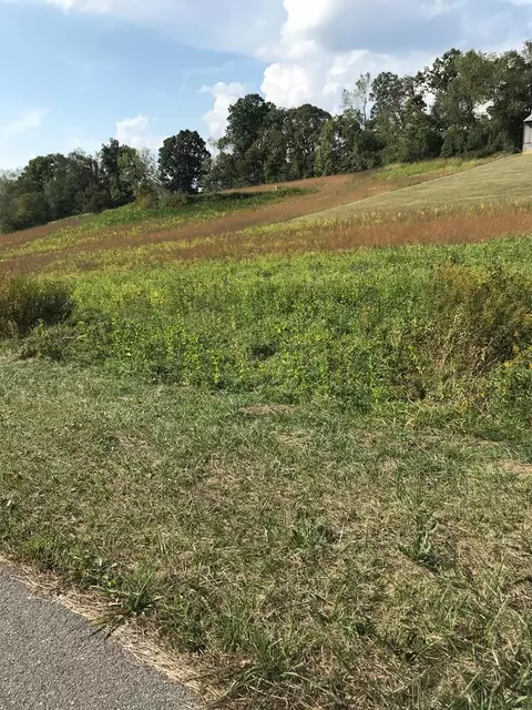 tbd Lot Apt 29 Chestnutwood Dr, Chilhowie, VA 24319