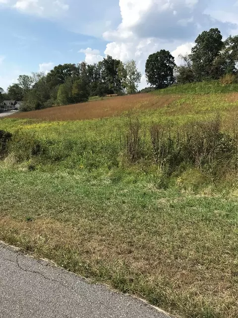 tbd Lot Apt 27 Chestnutwood Dr, Chilhowie, VA 24319