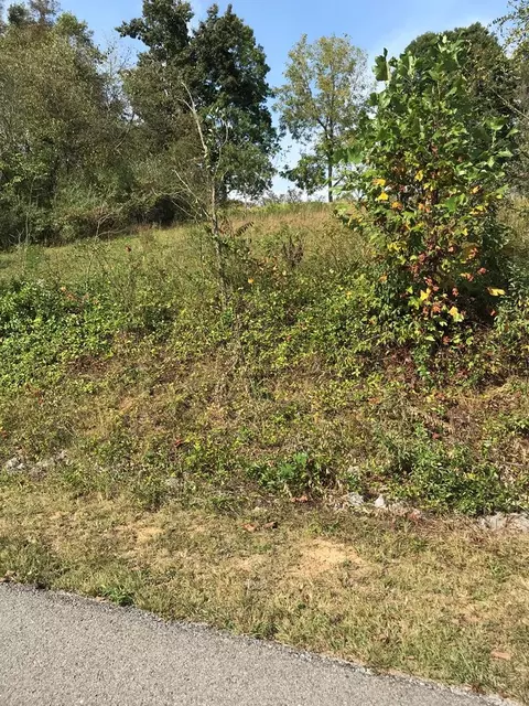 tbd Lot Apt 19 Christin Ln, Chilhowie, VA 24319