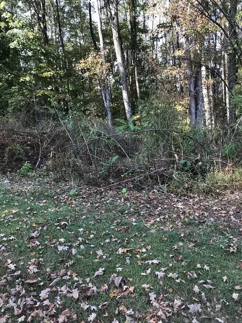 tbd Lot Apt 10 Elem Dr, Chilhowie, VA 24319