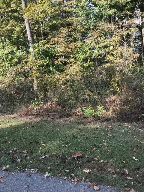 tbd Lot Apt 8 Elem Dr, Chilhowie, VA 24319