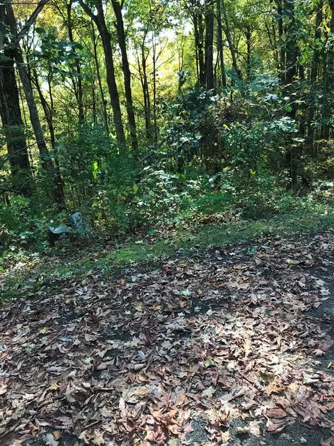 tbd Lot Apt 6 Elem Dr, Chilhowie, VA 24319
