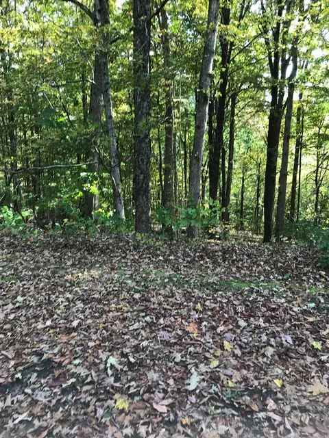 tbd Lot Apt 5 Elem Dr, Chilhowie, VA 24319