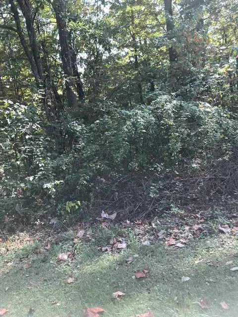 tbd Lot Apt 4 Elem Dr, Chilhowie, VA 24319