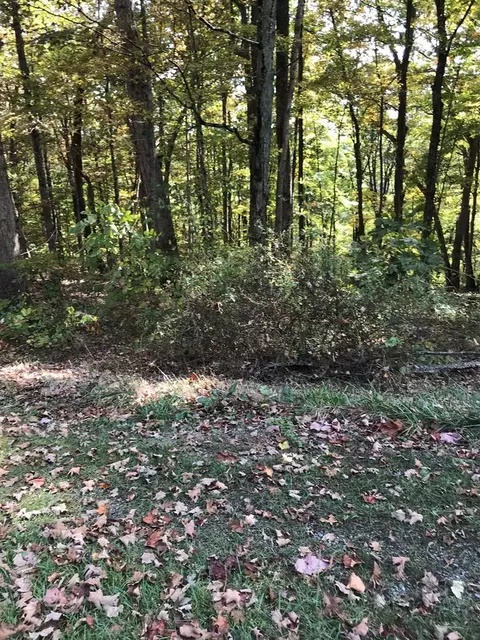 tbd Lot Apt 3 Elem Dr, Chilhowie, VA 24319