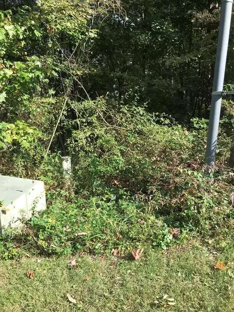 tbd Lot Apt 45 Chestnutwood Dr, Chilhowie, VA 24319