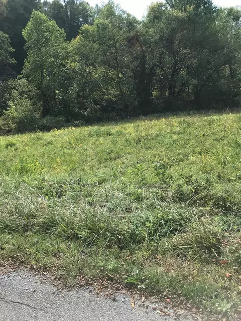 tbd Lot Apt 40 Brooke St, Chilhowie, VA 24319
