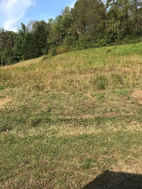 tbd Lot Apt 38 Brooke St, Chilhowie, VA 24319
