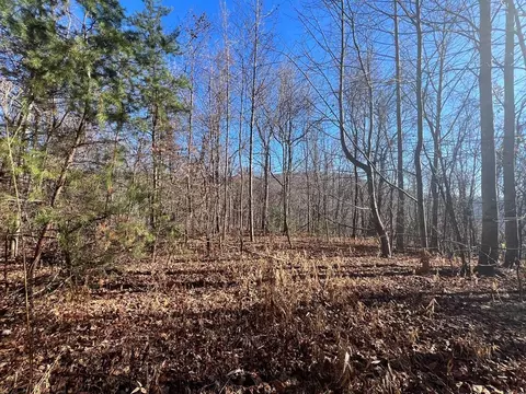 tbd Rocky Ford Rd, Cana, VA 24317