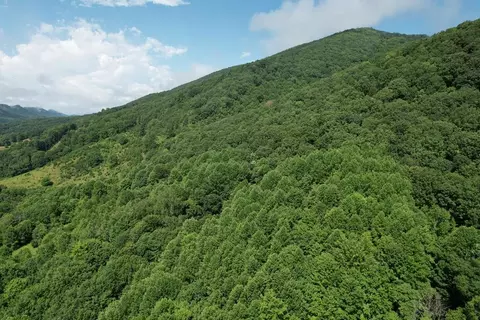 tbd Allison Gap Rd, Saltville, VA 24370