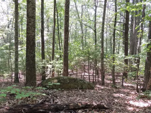 tbd Peach Bottom Rd, Independence, VA 24348 photo 5