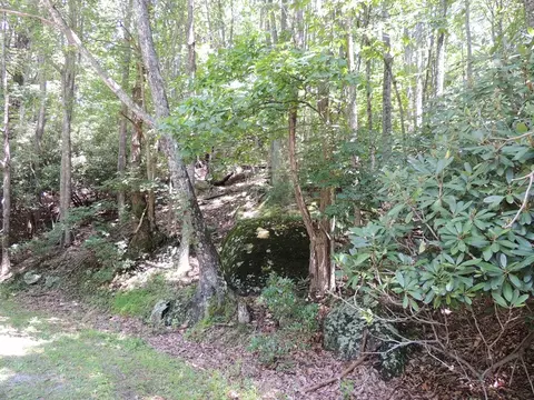 tbd Peach Bottom Rd, Independence, VA 24348 photo 12