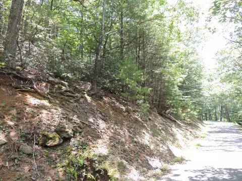 tbd Peach Bottom Rd, Independence, VA 24348 photo 14