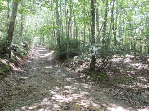 tbd Peach Bottom Rd, Independence, VA 24348 photo 4