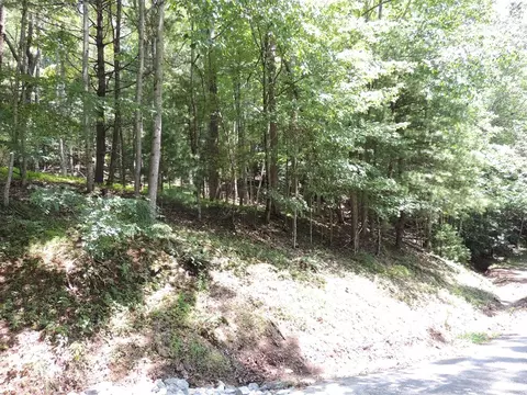 tbd Peach Bottom Rd, Independence, VA 24348 photo 10