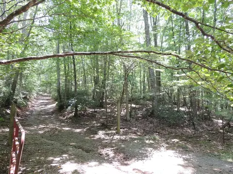 tbd Peach Bottom Rd, Independence, VA 24348 photo 3