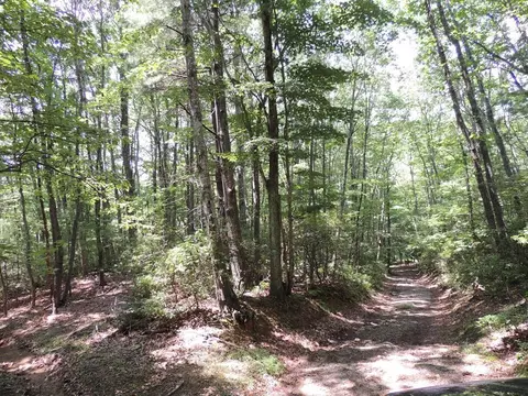 tbd Peach Bottom Rd, Independence, VA 24348 photo 2