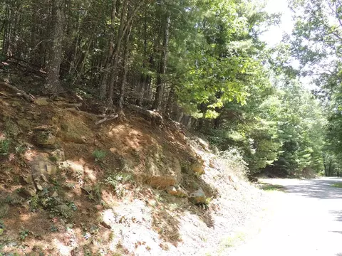 tbd Peach Bottom Rd, Independence, VA 24348 photo 15