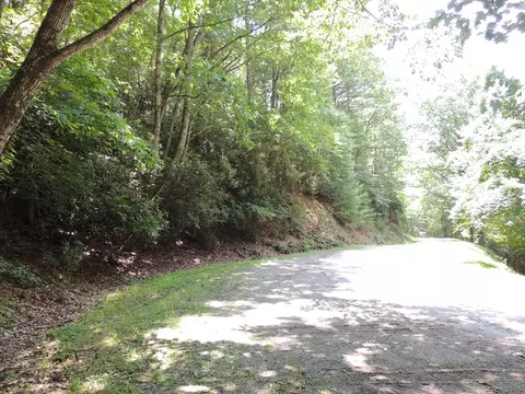 tbd Peach Bottom Rd, Independence, VA 24348 photo 11