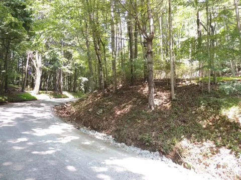 tbd Peach Bottom Rd, Independence, VA 24348 photo 9