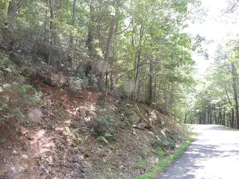 tbd Peach Bottom Rd, Independence, VA 24348 photo 13