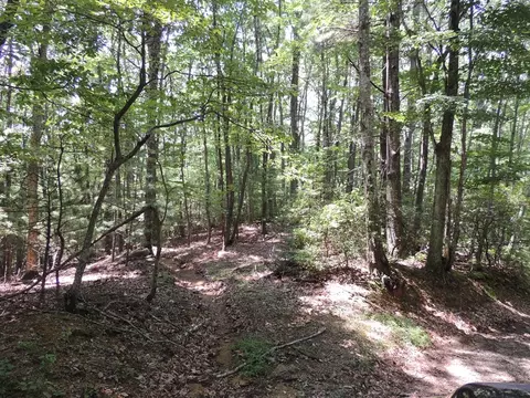 tbd Peach Bottom Rd, Independence, VA 24348 photo 6