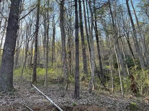 tbd Briar Rock Trl, Fancy Gap, VA 24328