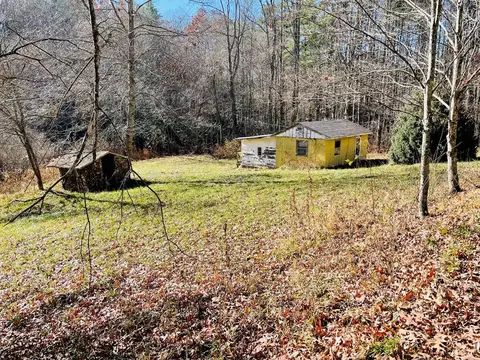 854 Trillium Rd, Laurel Fork, WV 24752 photo 1