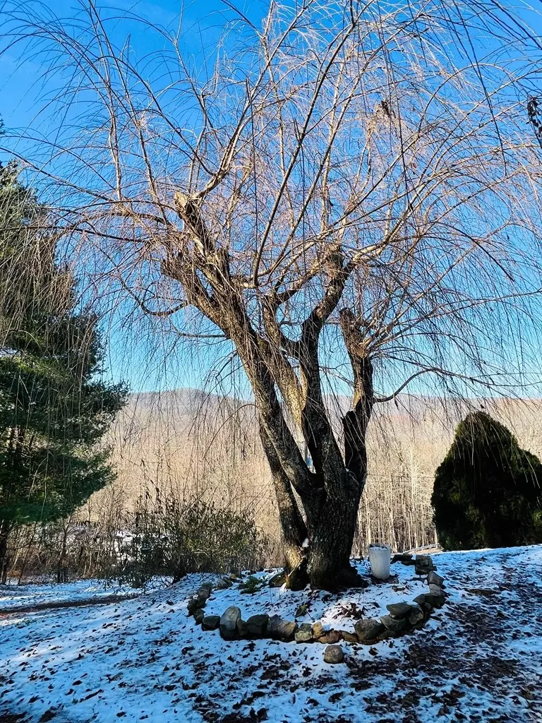 1086 Burkes Garden Rd, Tazewell, VA 24651 15 Photos Movoto