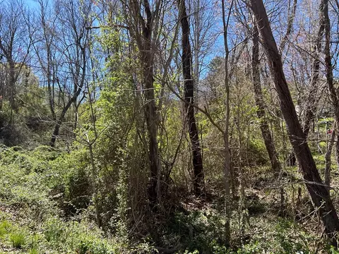 tbd Cherry Ln, Ivanhoe, VA 24350 photo 2
