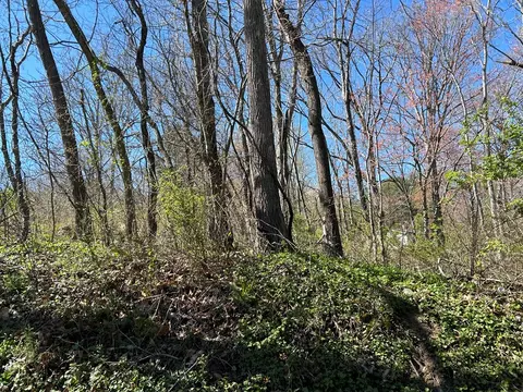 tbd Cherry Ln, Ivanhoe, VA 24350 photo 3