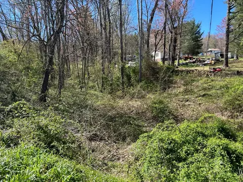 tbd Cherry Ln, Ivanhoe, VA 24350