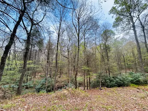 174 Round Hill Rd, Fancy Gap, VA 24328 photo 1
