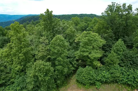 tbd Pheasant Chase, Ararat, VA 24053