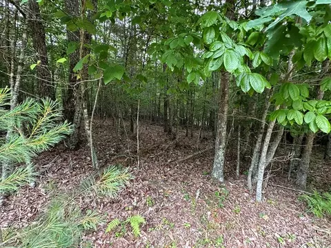 tbd 0 Live Oak Ln, Galax, VA 24333