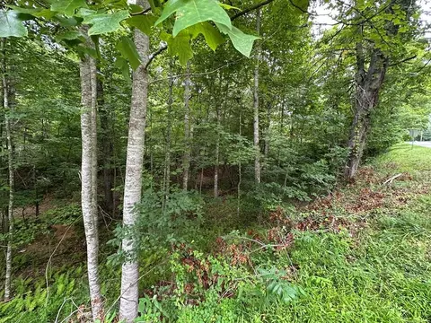 0 Fries Roadfoxfire Ln, Galax, VA 24333