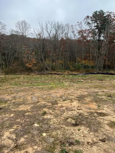 209 Holly Ln, Fancy Gap, VA 24328