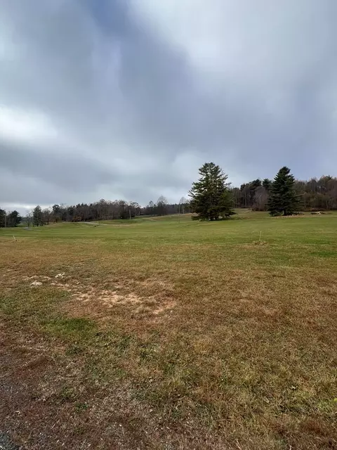 tbd Holly Ln, Fancy Gap, VA 24328