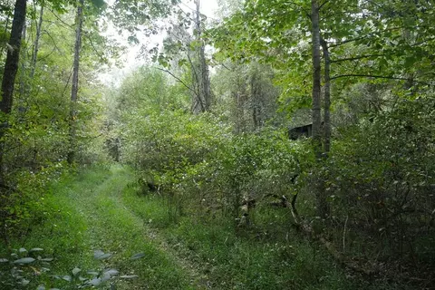tbd Bryson Cove Rd, Abingdon, VA 24210