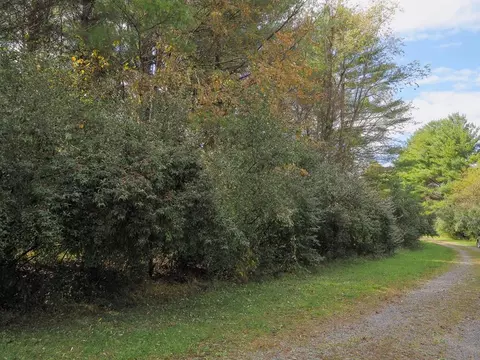 tbd Blue Lake Ln, Laurel Fork, VA 24352