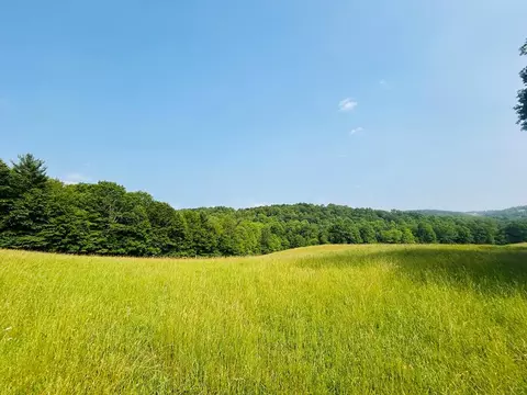 tbd Lot Number 89 Shady Grove Rd, Indian Valley, VA 24380