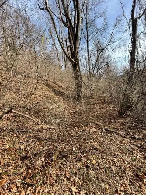 tbd Orchard Gap Rd, Fancy Gap, VA 24328