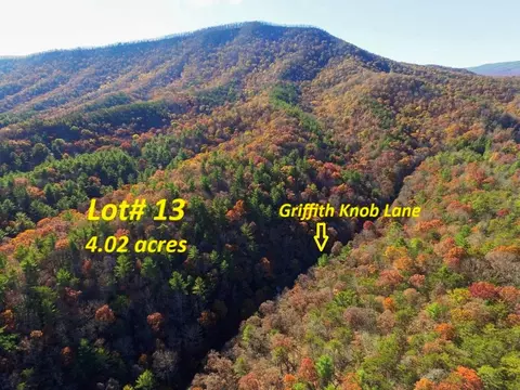 lot13 Griffith Knob Ln, Wytheville, VA 24382