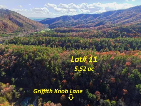 lot11 Griffith Knob Ln, Wytheville, VA 24382